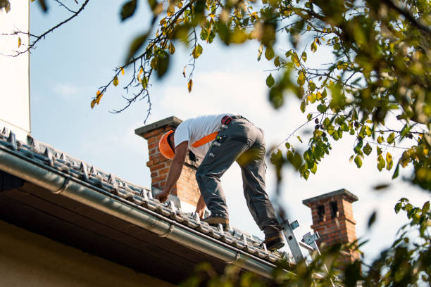 Best Roof Gutter Cleaning  in Flower Mound, TX